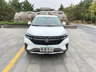 2019 Dongfeng Fengxing T5L 1.5T CVT Luxury Type 7-seater, фото 1, лот 11194993
