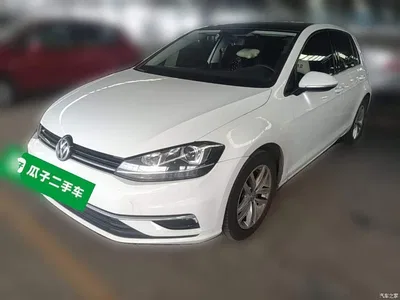2019 Volkswagen Golf 1.6L Auto Comfort (China V), фото 1, лот 11192128