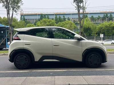 2025 BYD Seagull Smart Drive Edition 305km Vitality Version, фото 4, лот 10254943
