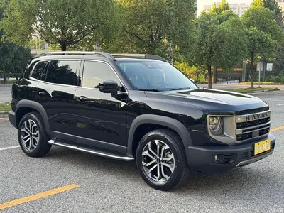 2022 Haval Big Dog 1.5T DCT FWD Border Collie Edition, фото 3, лот 10361805