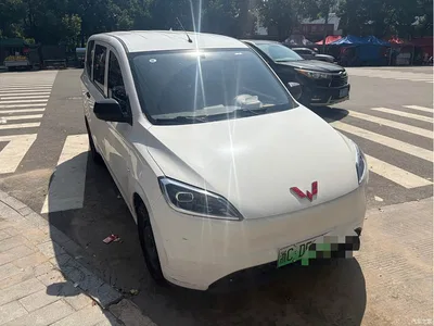2024 Wuling Motors Wuling Hongguang New Energy Pure Electric 300KM Standard, фото 2, лот 11150253
