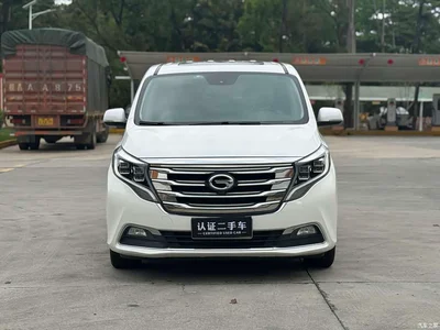 2018 GAC Trumpchi Trumpchi M8 320T Premium Edition, фото 4, лот 10416009