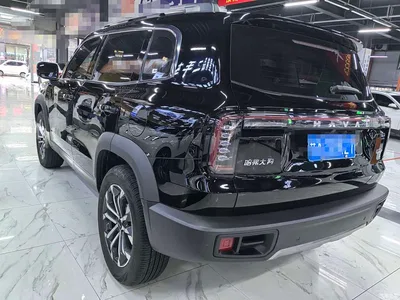 2024 Haval Big Dog 1.5T DCT Border Collie Edition, фото 4, лот 10361782