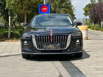 2024 Hongqi H5 2.0T Automatic Smart Connect Flag Smooth Edition, фото 2, лот 11067246