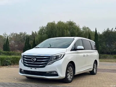 2018 GAC Trumpchi Trumpchi M8 320T Exclusive Edition, фото 1, лот 11493327