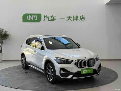 2022 BMW X1 sDrive20Li Premium, фото 2, лот 10238733