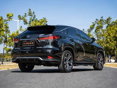 2020 Lexus RX 450h AWD Chunxiang Edition, фото 3, лот 11519387
