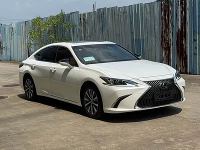 2018 Lexus ES 200 Excellence Edition China V, фото 1, лот 10314048