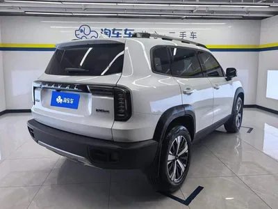 2021 Haval Big Dog 1.5T DCT 2WD Labrador Edition, фото 3, лот 10361809