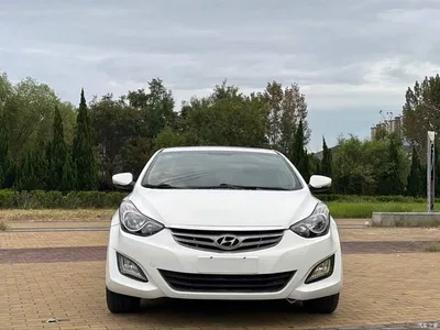 2015 Hyundai Langdong 1.6L Auto Premium, фото 2, лот 10830387