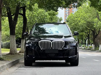 2023 BMW X5 xDrive 30Li Premium M Sport Black Night Package, фото 2, лот 11540854