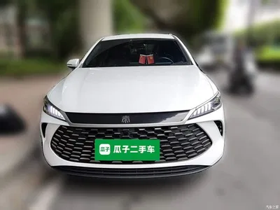 2025 BYD Qin PLUS DM-i Smart Drive 55KM Leader, фото 2, лот 10364373
