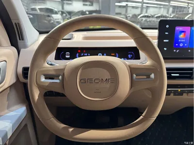 2023 Geely Galaxy Panda Mini 200km Endurance Bear, фото 4, лот 11193549