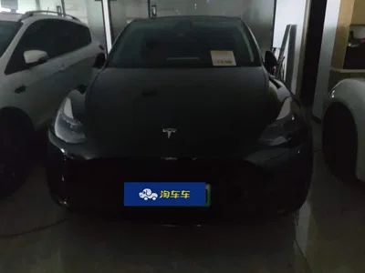 2021 Tesla Model Y Standard Range Rear-Wheel Drive, фото 2, лот 10404328