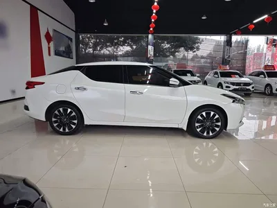 2016 Nissan Bluebird 1.6L CVT Smart Cool, фото 4, лот 10347607