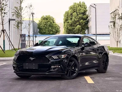 2017 Ford Mustang 2.3T Performance Edition, фото 1, лот 10417343