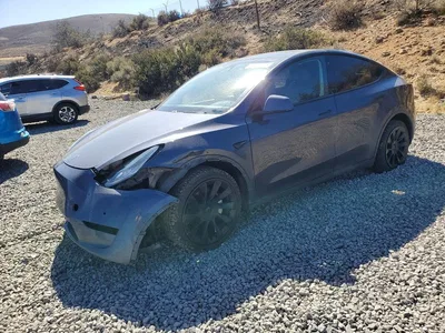 2020 TESLA MODEL Y, фото 1, лот 11239007