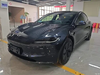 2025 Tesla Model 3 Model Rear-Wheel Drive Edition, фото 2, лот 10370942
