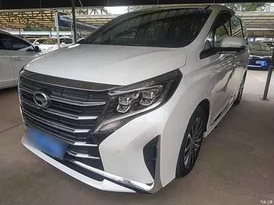 2021 GAC Trumpchi Trumpchi M8 Leading Series 390T Flagship, фото 1, лот 10389079