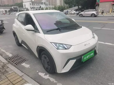 2024 BYD Seagull Glory Edition 305km Vitality Edition, фото 4, лот 11512794