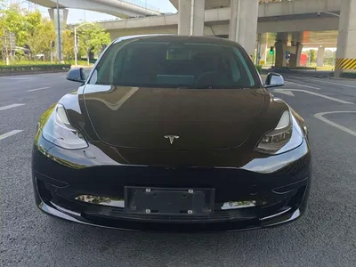 2021 Tesla Model 3 Standard Range Rear-Wheel Drive Upgrade 3D6, фото 2, лот 10354780