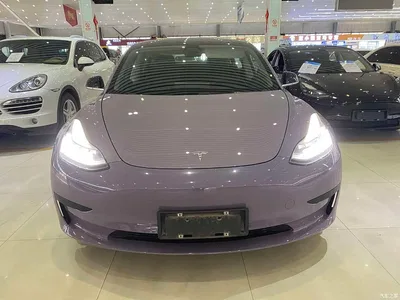 2019 Tesla Model 3 (Import) Standard Range RWD Upgraded Edition, фото 2, лот 10364868