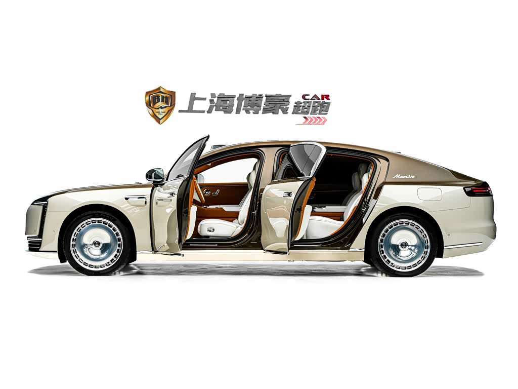 2026 Zunjie S800 Model Extended Range Starlight Executive Edition 4-seater, фото 4, лот 10957910