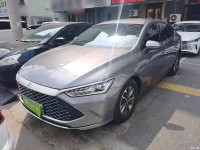 2023 BYD Qin PLUS Champion Edition DM-i 55KM Leading, фото 2, лот 10362699