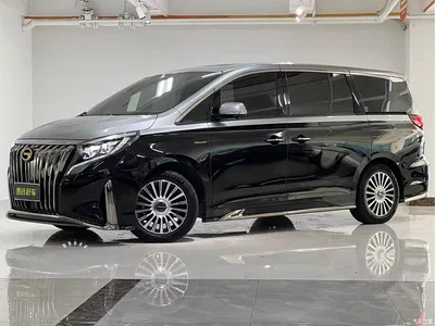 2021 GAC Trumpchi Trumpchi M8 Master Series 390T 4-Seat Premium Edition, фото 1, лот 10419947