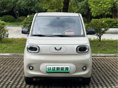 2024 Wuling Motors Hongguang MINIEV 3rd Gen 215km Advanced, фото 2, лот 10367362