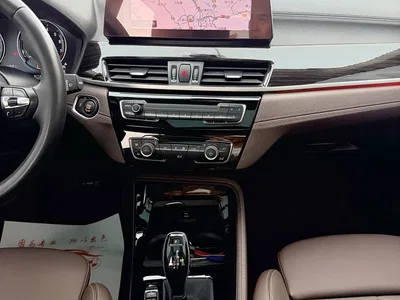 2020 BMW X1 xDrive25Li Premium Edition, фото 4, лот 10465579
