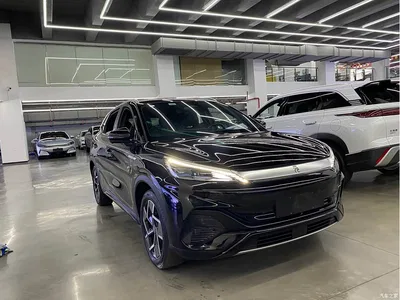 2024 BYD Yuan PLUS Glory Edition 510KM Excellence, фото 3, лот 10256291