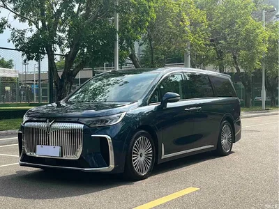 2025 Voyah Auto Voyah Dreamer PHEV AWD Flagship Kunpeng Edition, фото 1, лот 10358743