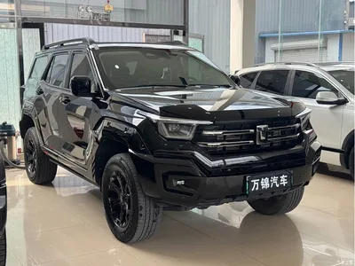 2023 Tank 400 New Energy Hi4-T Super Edition, фото 3, лот 10450554