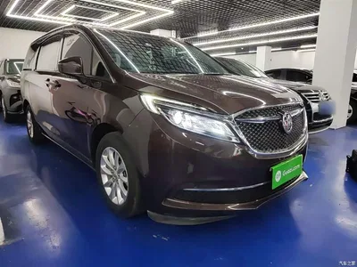 2018 Buick GL8 ES 28T Comfort Type China VI, фото 4, лот 10262373