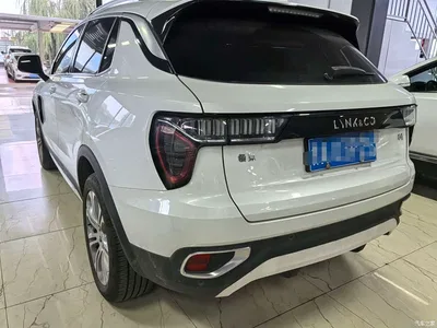 2019 Lynk & Co 01 2.0T 2WD Shine Pro Version China VI, фото 4, лот 10314322