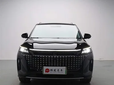 2023 Landian E5 1.5L DE-i 100KM Enjoyment 5-Seater, фото 2, лот 11646074