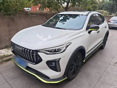 2021 Haval Chitu Boost Edition 1.5T Platinum Rabbit, фото 1, лот 11137499
