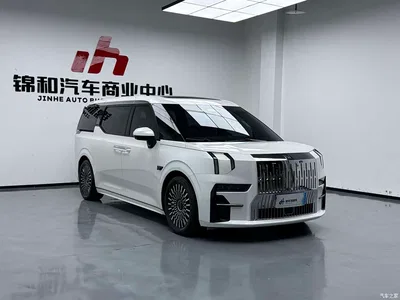 2022 ZEEKR 009 WE Edition, фото 3, лот 10615281