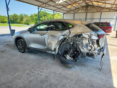 2024 LEXUS NX 350H LUXURY, фото 2, лот 10904558