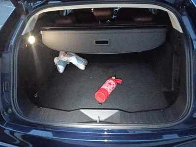 2020 WEY VV7 2.0T Super Luxury, фото 4, лот 10451988