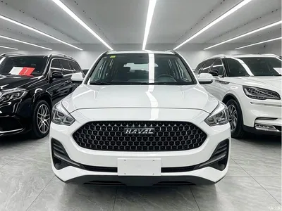 2019 Haval M6 1.5T DCT 2WD Value Edition (China VI), фото 2, лот 10414393