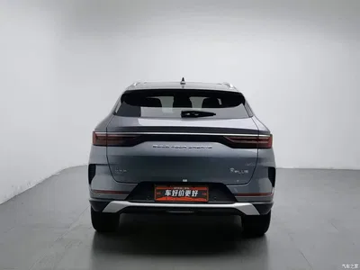 2021 BYD Song PLUS PHEV DM-i 110KM Flagship, фото 4, лот 10955259