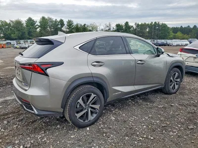 2020 LEXUS NX 300H, фото 3, лот 10849165