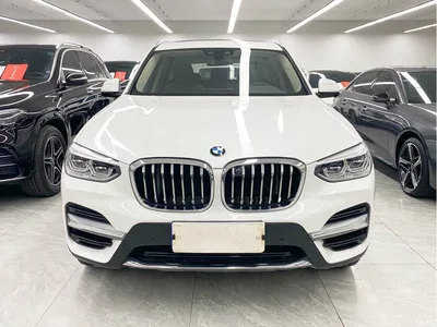 2020 BMW X3 xDrive25i Luxury Package, фото 2, лот 10887659