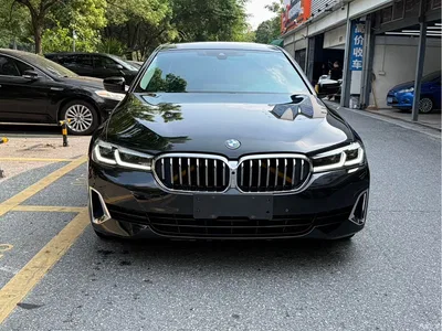 2021 BMW 5 Series 530Li Leading Luxury Package, фото 4, лот 11138849