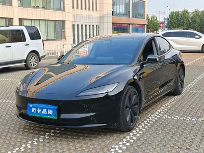 2023 Tesla Model 3 Rear-Wheel Drive, фото 1, лот 11189007