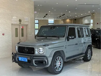 2020 Mercedes-Benz G-Class G 350, фото 1, лот 10261155
