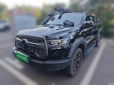 2020 Great Wall Pao 2.0T Off-Road Auto Gasoline 4WD Premium Edition Trailer Version GW4C20B, фото 1, лот 11522349