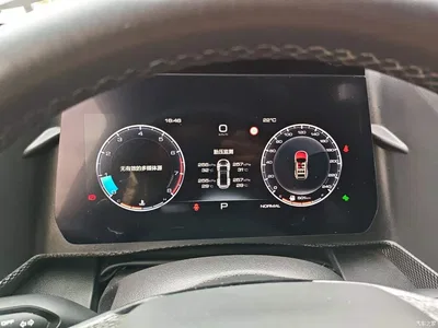 2021 Haval Big Dog 2.0T DCT 4WD Chinese Rural Dog Edition, фото 4, лот 11058610
